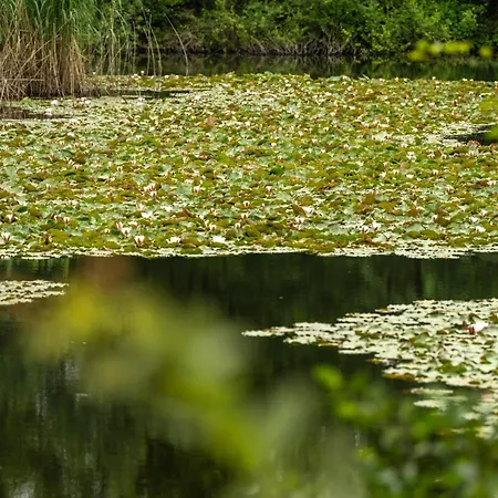 Serways Bruchsal West ホテル